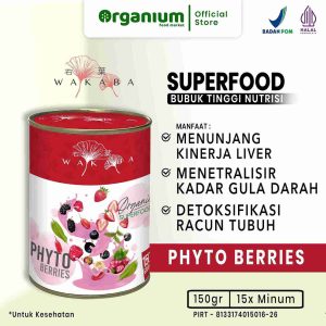 WAKABA Superfood Phyto Berries, Meningkatkan Fungsi Hati dan Imun, Sebagai Detoks Alami Tubuh