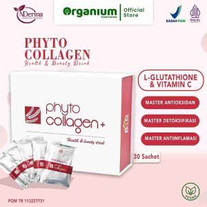 Phyto Collagen Powder NDERMA Minuman Kolagen Atasi Diabetes, Kanker, Penuaan, dan Kolesterol Tinggi