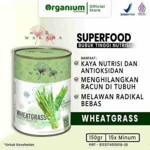 WAKABA Superfood Wheatgrass , Multivitamin Atasi racun dalam tubuh dan jaga kolesterol