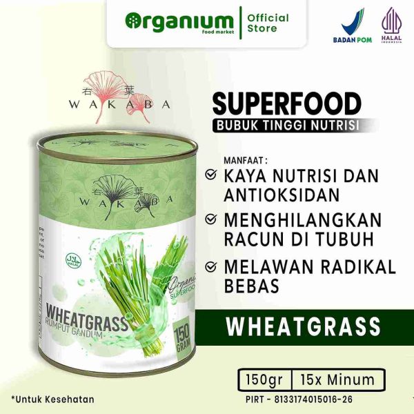 WAKABA Superfood Wheatgrass , Multivitamin Atasi racun dalam tubuh dan jaga kolesterol