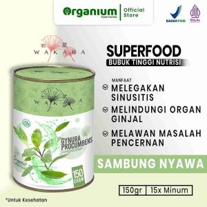 WAKABA Superfood Sambung Nyawa, Atasi Tekanan Darah, Sakit Ginjal, Sinusitis dan Kanker