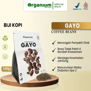 GAYO