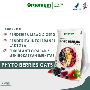 Morning Phyto Berries Oats
