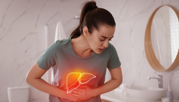 Apa itu liver