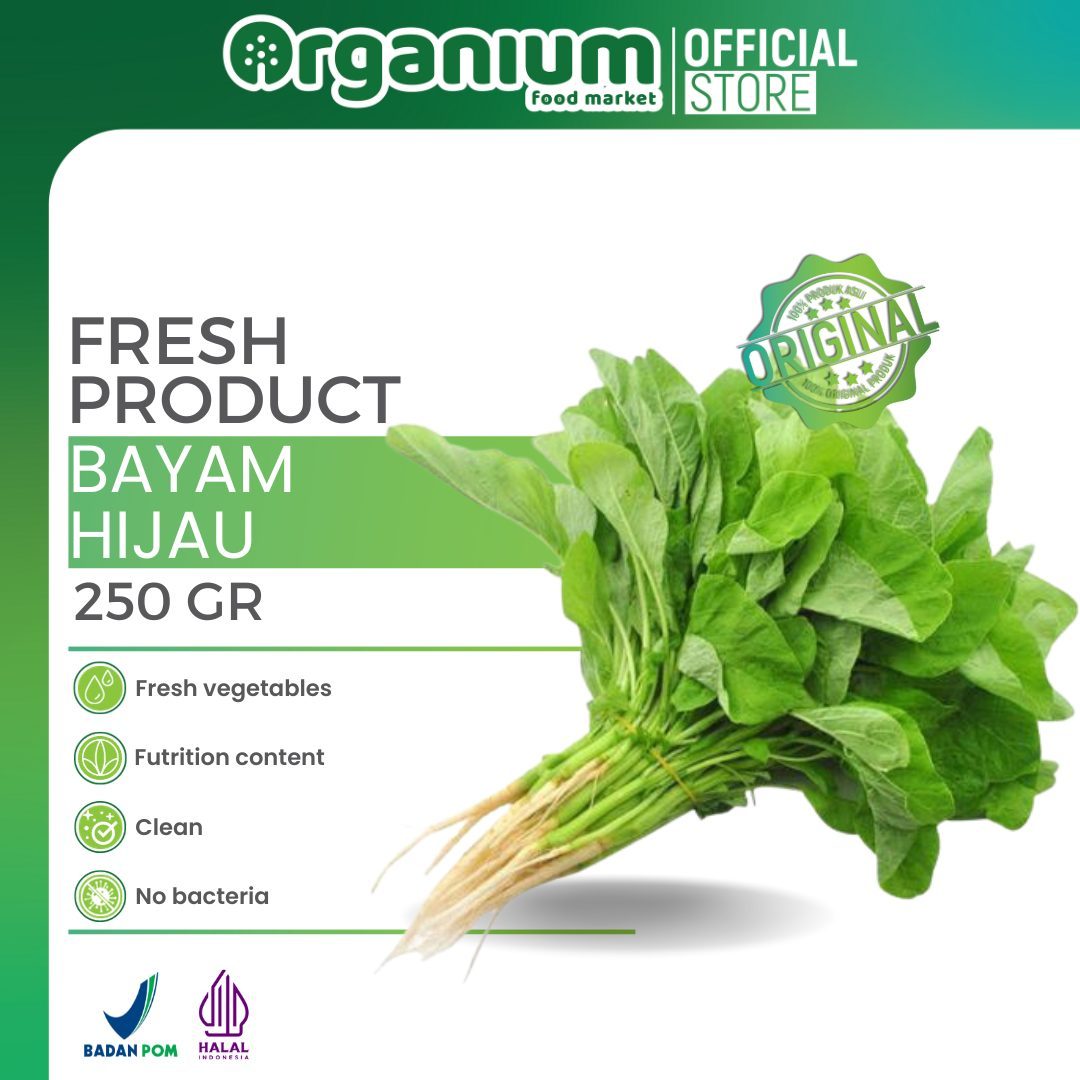 OR - BAYAM HIJAU