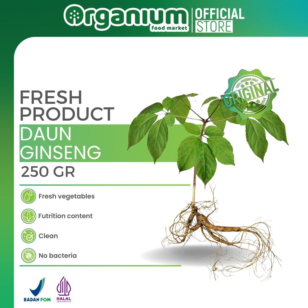 OR - DAUN GINSENG