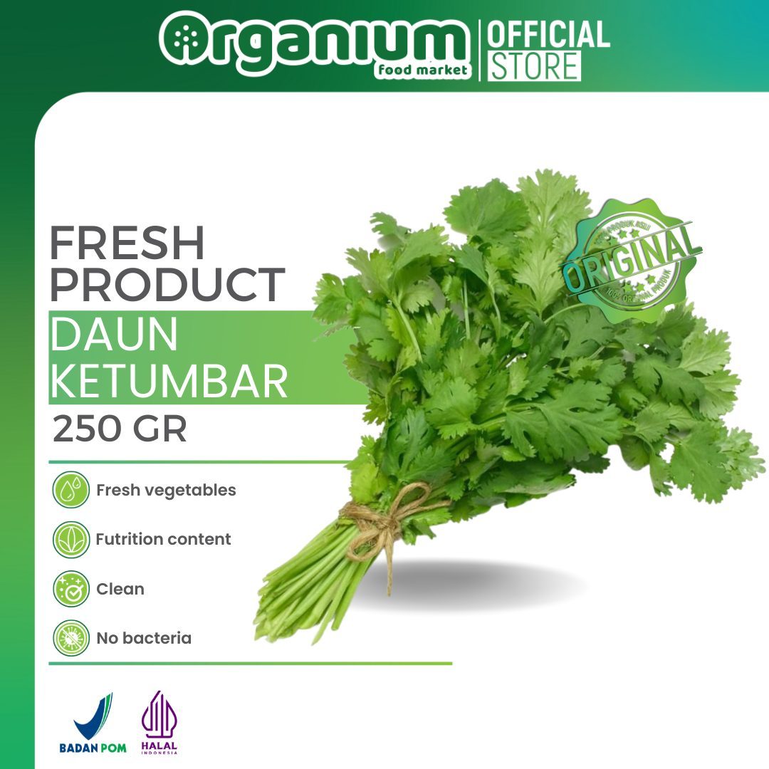 OR - DAUN KETUMBAR