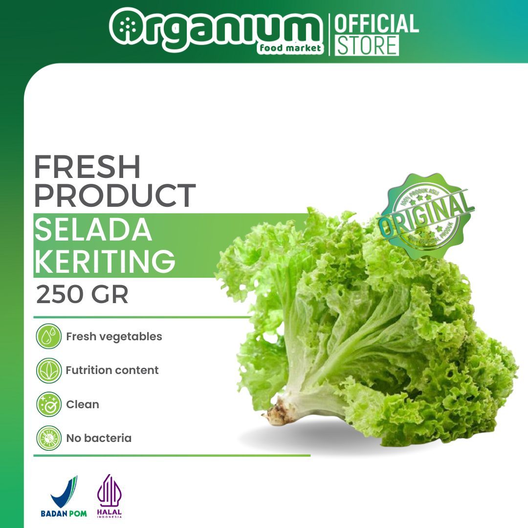 OR - SELADA KERITING